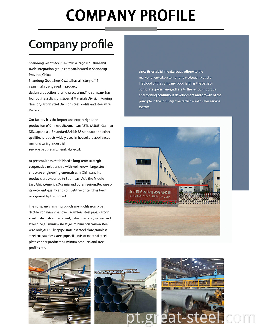 company profile